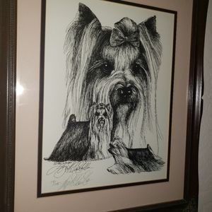 Framed Yorkie ink drawing
